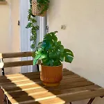 Lägenhet T2 Lumineux Balcon Ensoleille Au Coeur Du Vieux-toulon Toulon