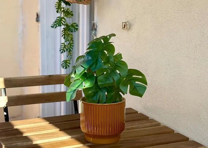 דירה Chaleureux En Plein Coeur De טולון